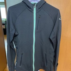 Icebreaker Merino Wool Hoodie